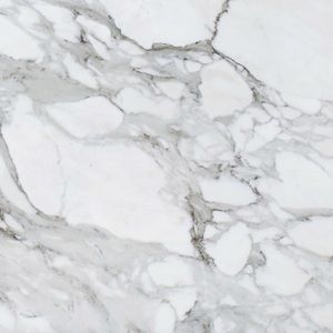 Meet your Posher, Lilie